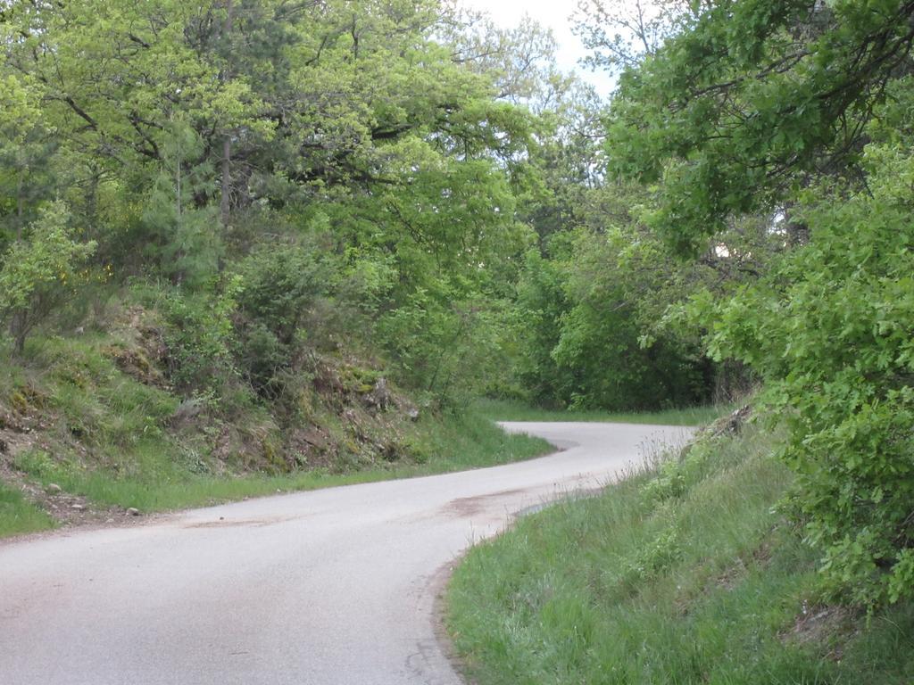 Bed And Breakfast Country Hill Arezzo Exterior photo