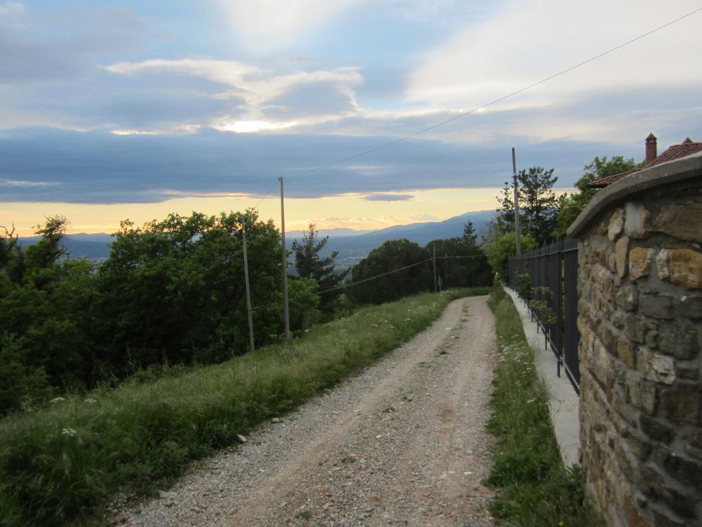 Bed And Breakfast Country Hill Arezzo Exterior photo