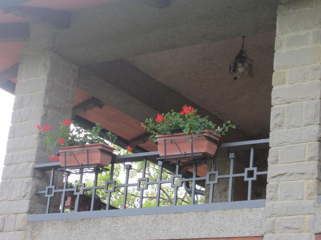 Bed And Breakfast Country Hill Arezzo Exterior photo