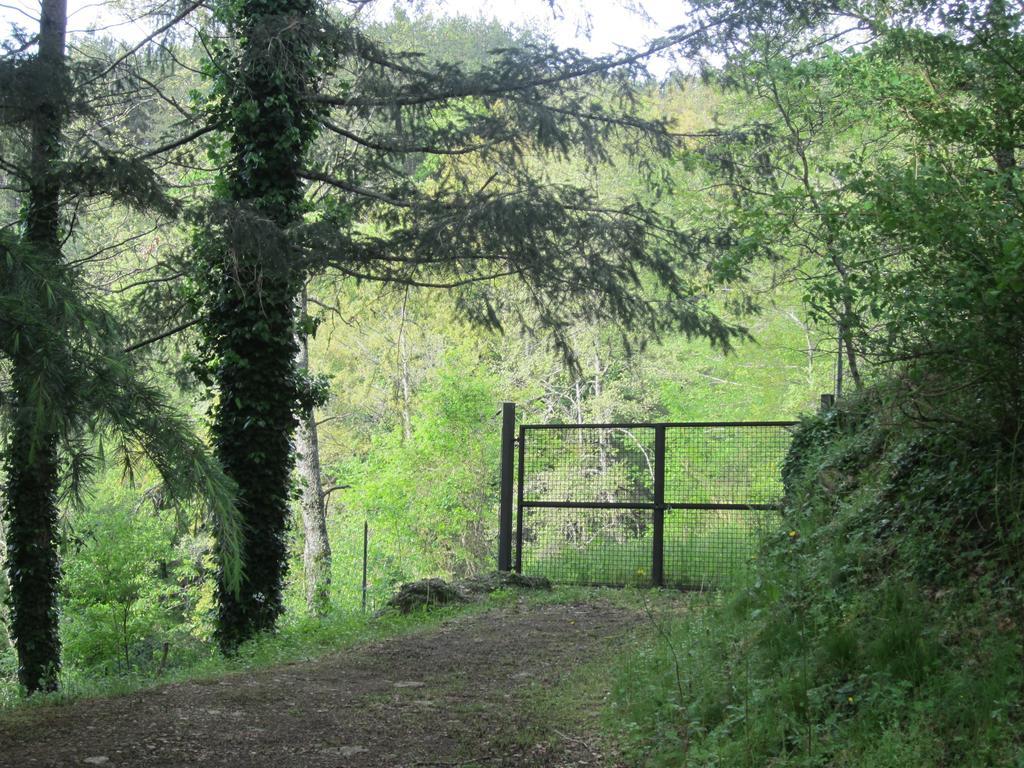 Bed And Breakfast Country Hill Arezzo Exterior photo