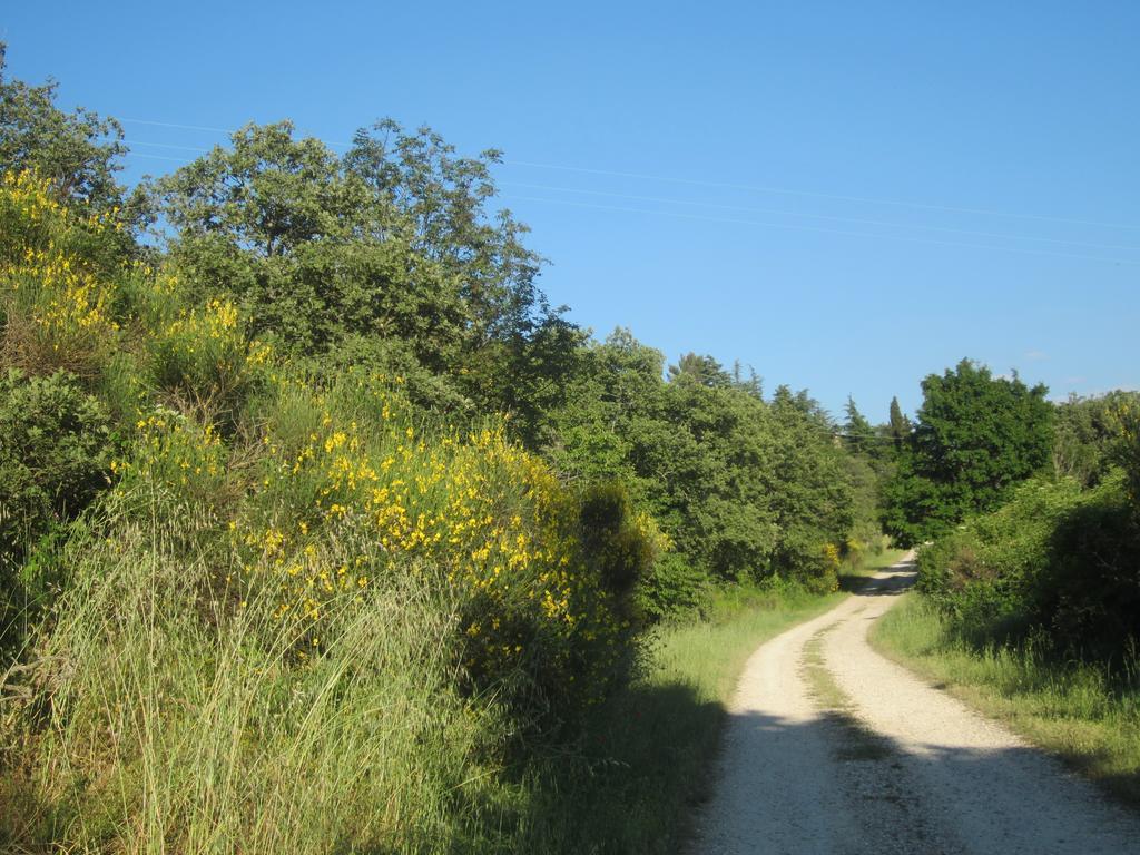 Bed And Breakfast Country Hill Arezzo Exterior photo